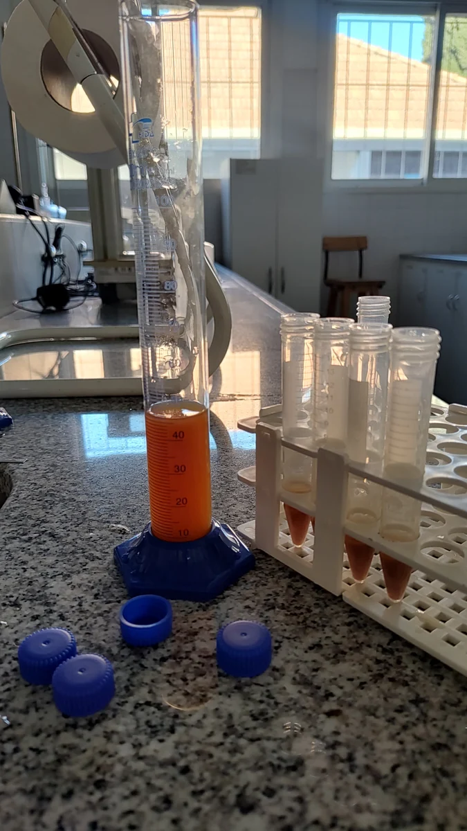 Przykład badań laboratoryjnych nad podłożem z wytłoku jabłkowego, fotografia niezależnego autora